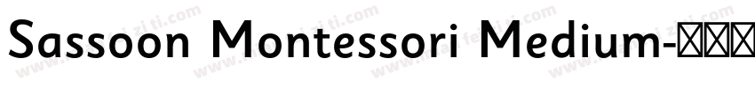 Sassoon Montessori Medium字体转换